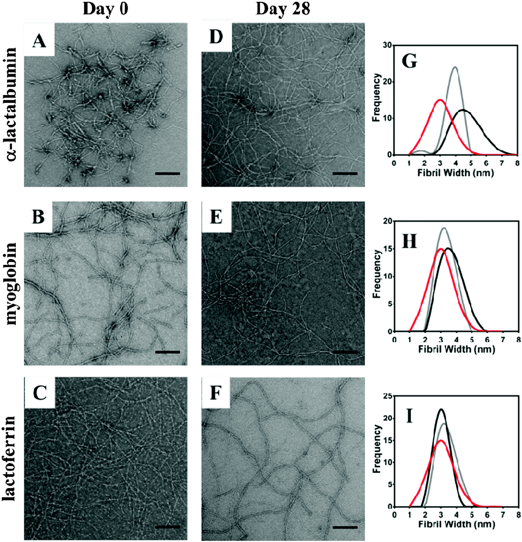 Protein release from highly charged peptide hydrogel networks - Journal of  Materials Chemistry B (RSC Publishing) DOI:10.1039/C5TB02137E