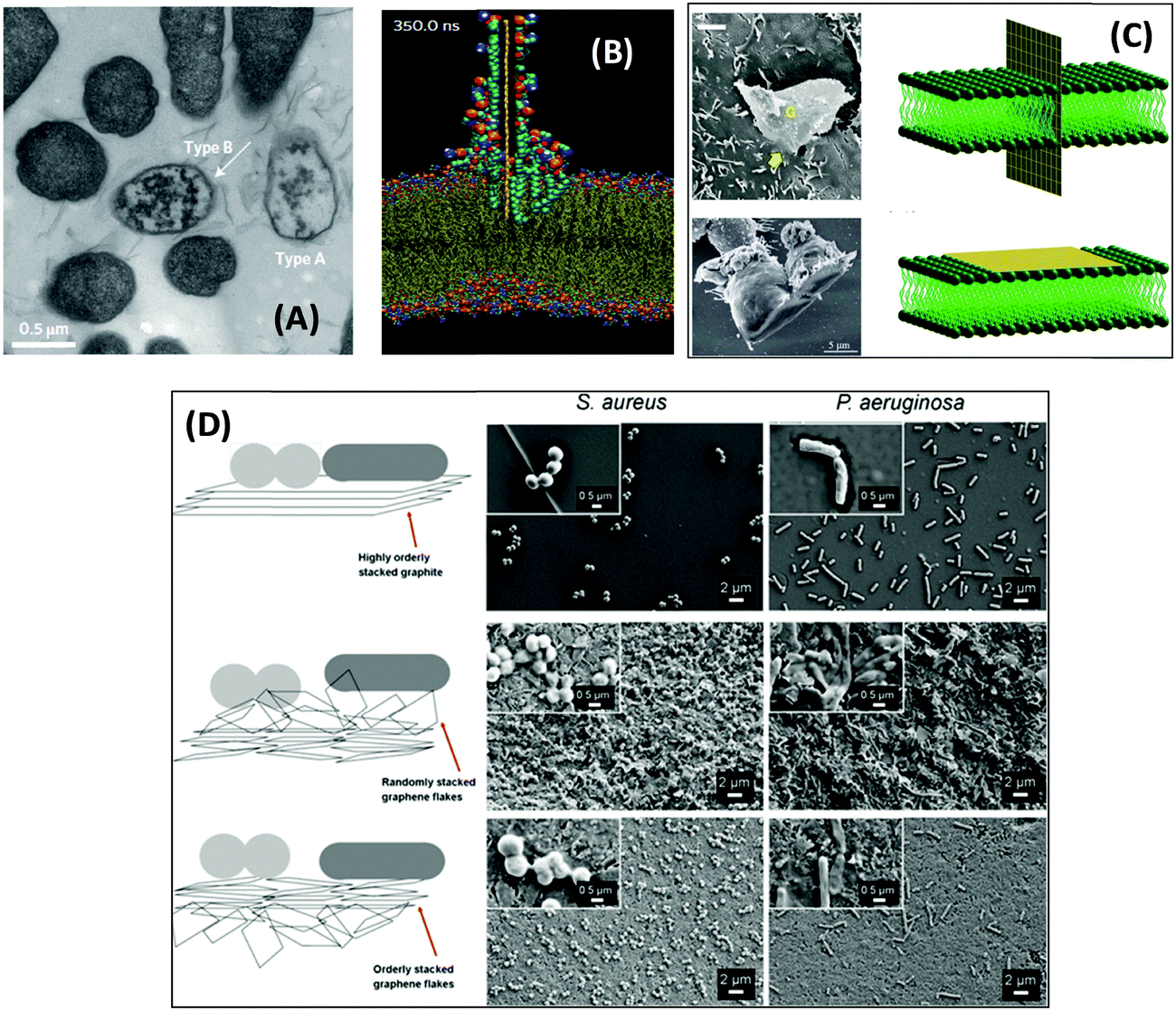 Antibacterial activity of graphene-based materials - Journal