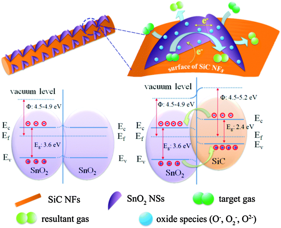 Vertical SnO 2 nanosheet@SiC nanofibers with hierarchical 