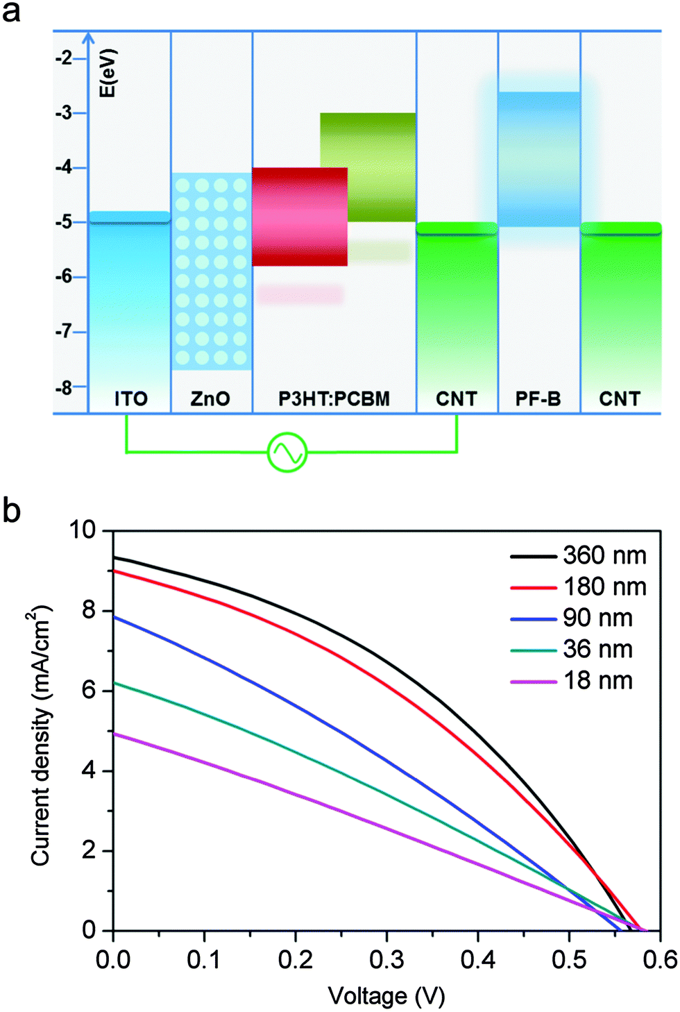 Dual-function optoelectronic polymer 