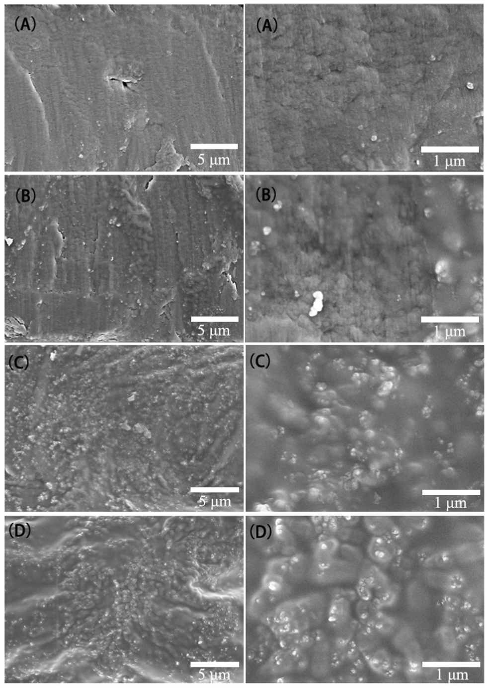 【s.】 Rectangular 4X6