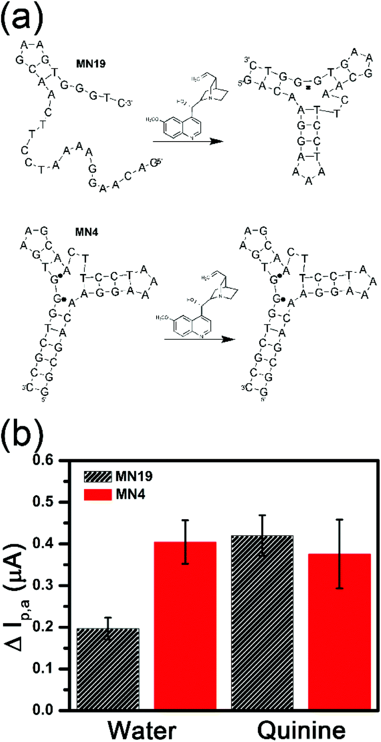 Factors Influencing Polyelectrolyte Aptamer Multilayered Films With Target Controlled Permeability For Sensing Applications Analyst Rsc Publishing