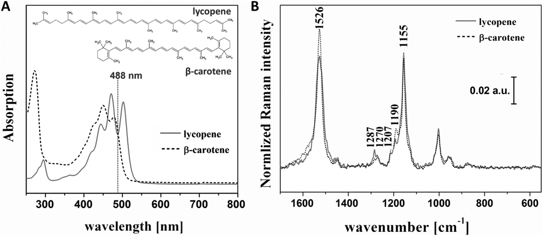 Toward food analytics fast estimation of lycopene and βcarotene