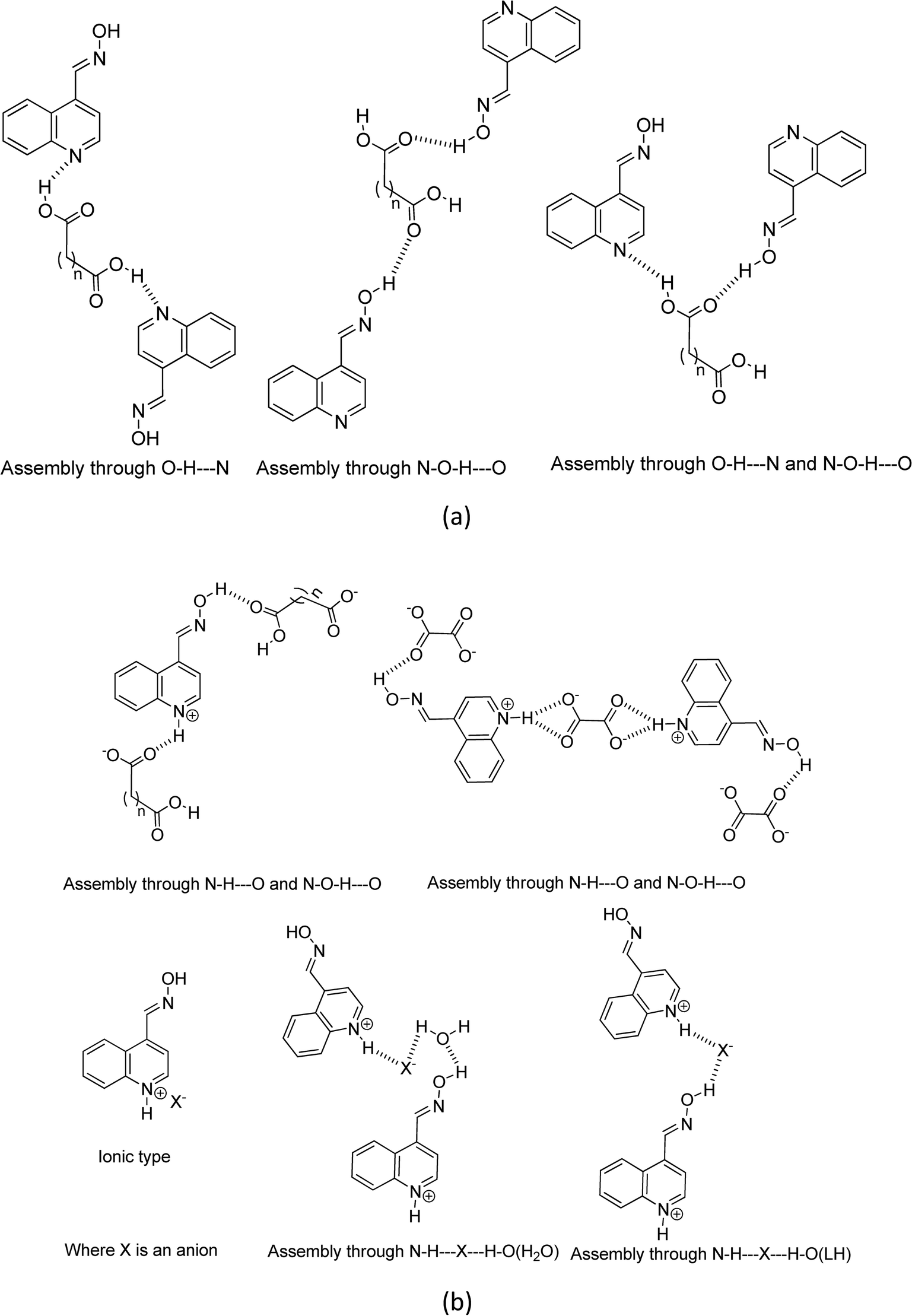 Oxime Synthons In The Salts And Cocrystals Of Quinoline 4 Carbaldoxime For Non Covalent Synthesis Crystengcomm Rsc Publishing