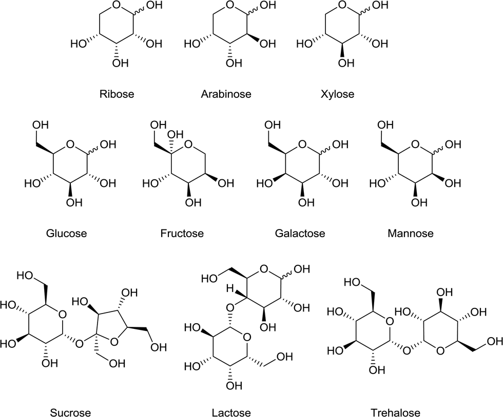 Interactions Of Alkali And Alkaline Earth Halides With