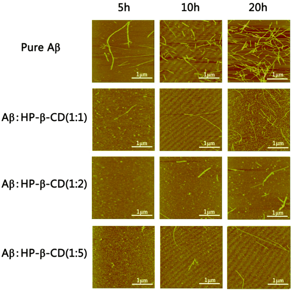 Hp B Cyclodextrin As An Inhibitor Of Amyloid B Aggregation And Toxicity Physical Chemistry Chemical Physics Rsc Publishing