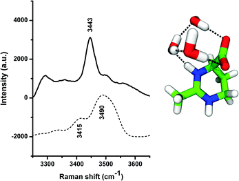 Combined influence of ectoine and salt: spectroscopic and numerical ...