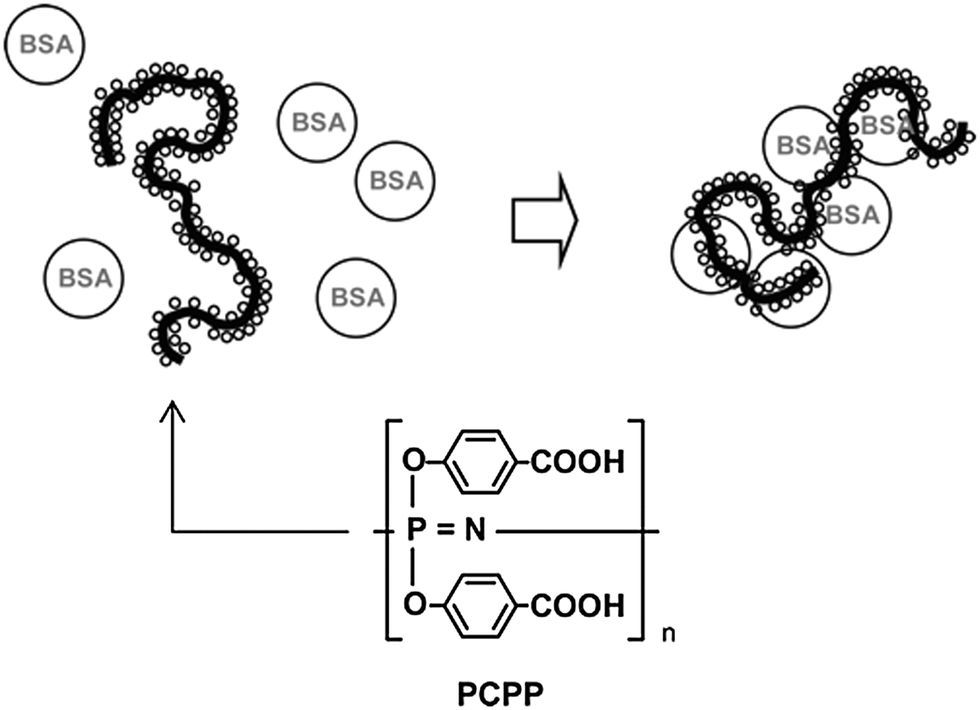 Preparation Of Polyphosphazenes: A Tutorial Review - Chemical Society ...