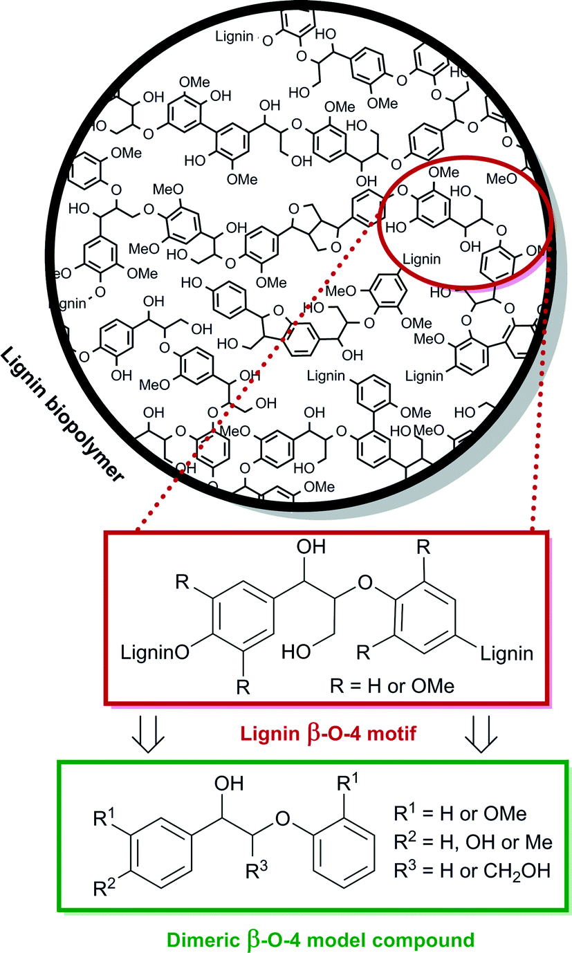 New Insights Into The Catalytic Cleavage Of The Lignin B O 4 Linkage In Multifunctional Ionic Liquid Media Catalysis Science Technology Rsc Publishing