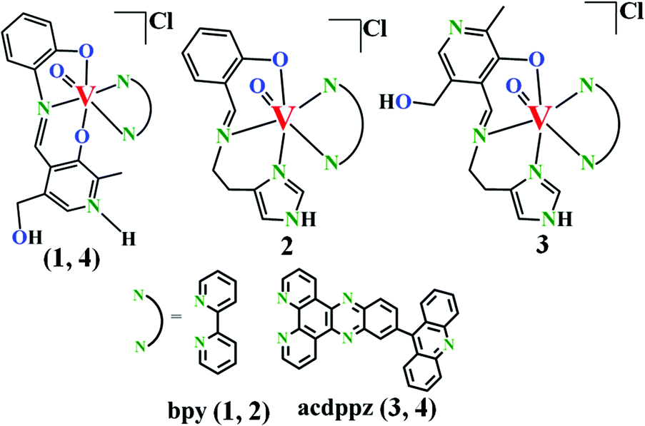 Endoplasmic Reticulum Targeting Tumour Selective Photocytotoxic Oxovanadium Iv Complexes Having Vitamin B6 And Acridinyl Moieties Dalton Transactions Rsc Publishing