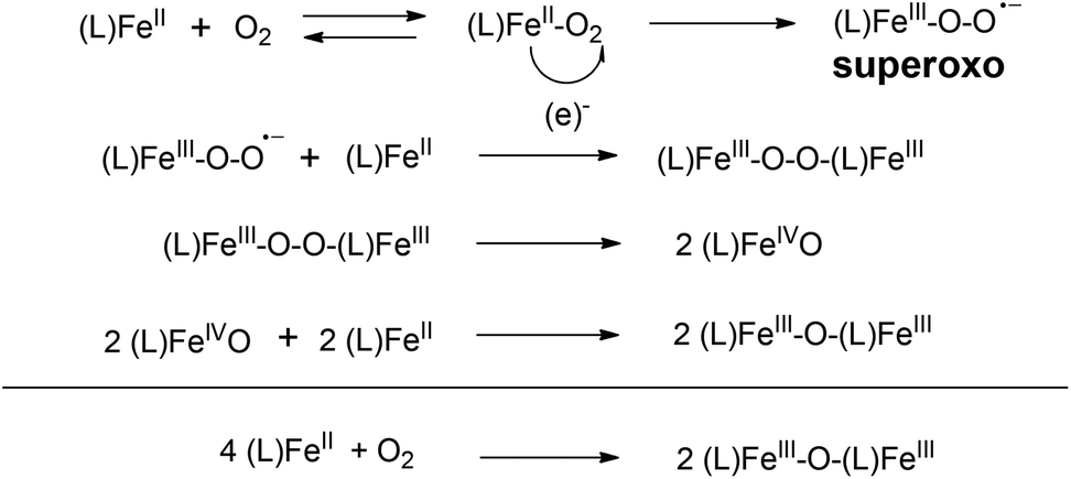 Binding of molecular oxygen by an artificial heme analogue ...