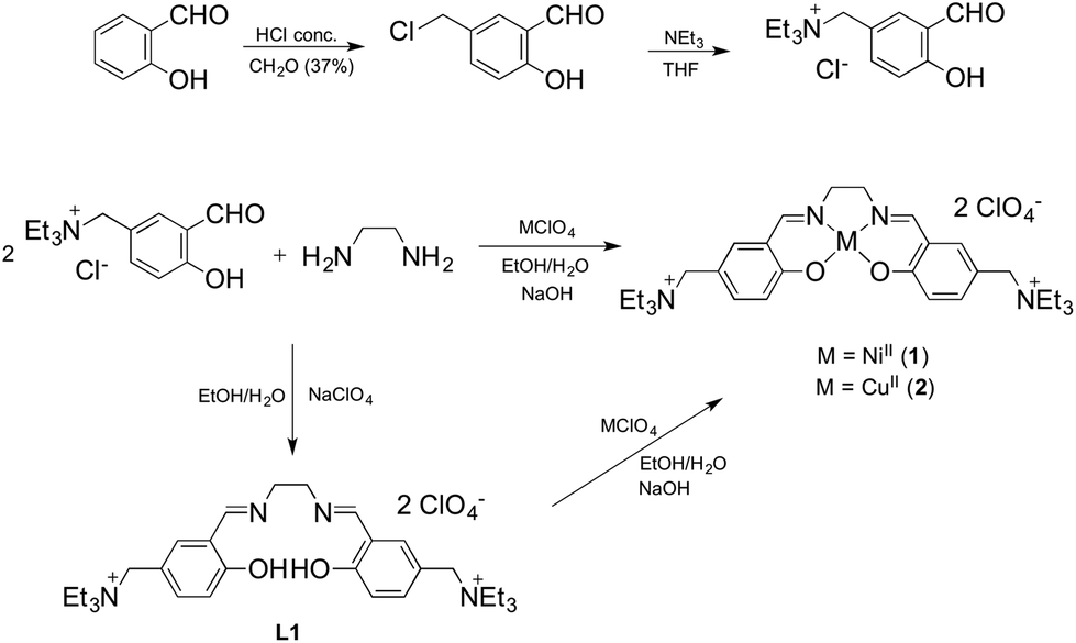 Another step toward DNA selective targeting: Ni II and Cu II complexes ...