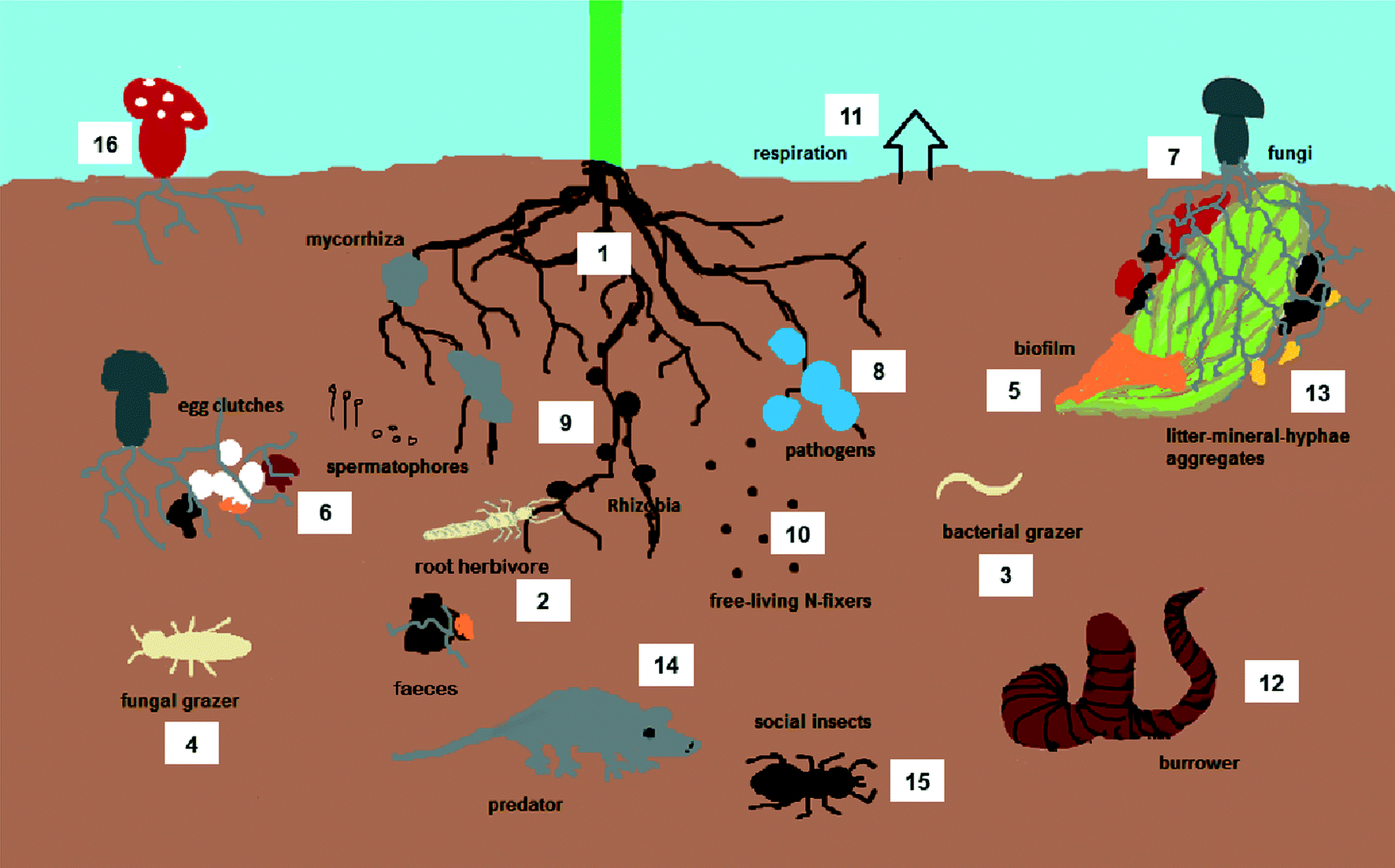 Impacts of metal-based engineered nanomaterials on soil communities