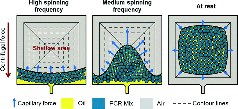 Digital droplet PCR on disk - Lab on a Chip (RSC Publishing) DOI:10. ...