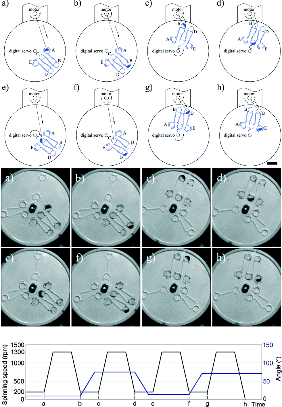 Enhanced versatility of fluid control in centrifugal microfluidic
