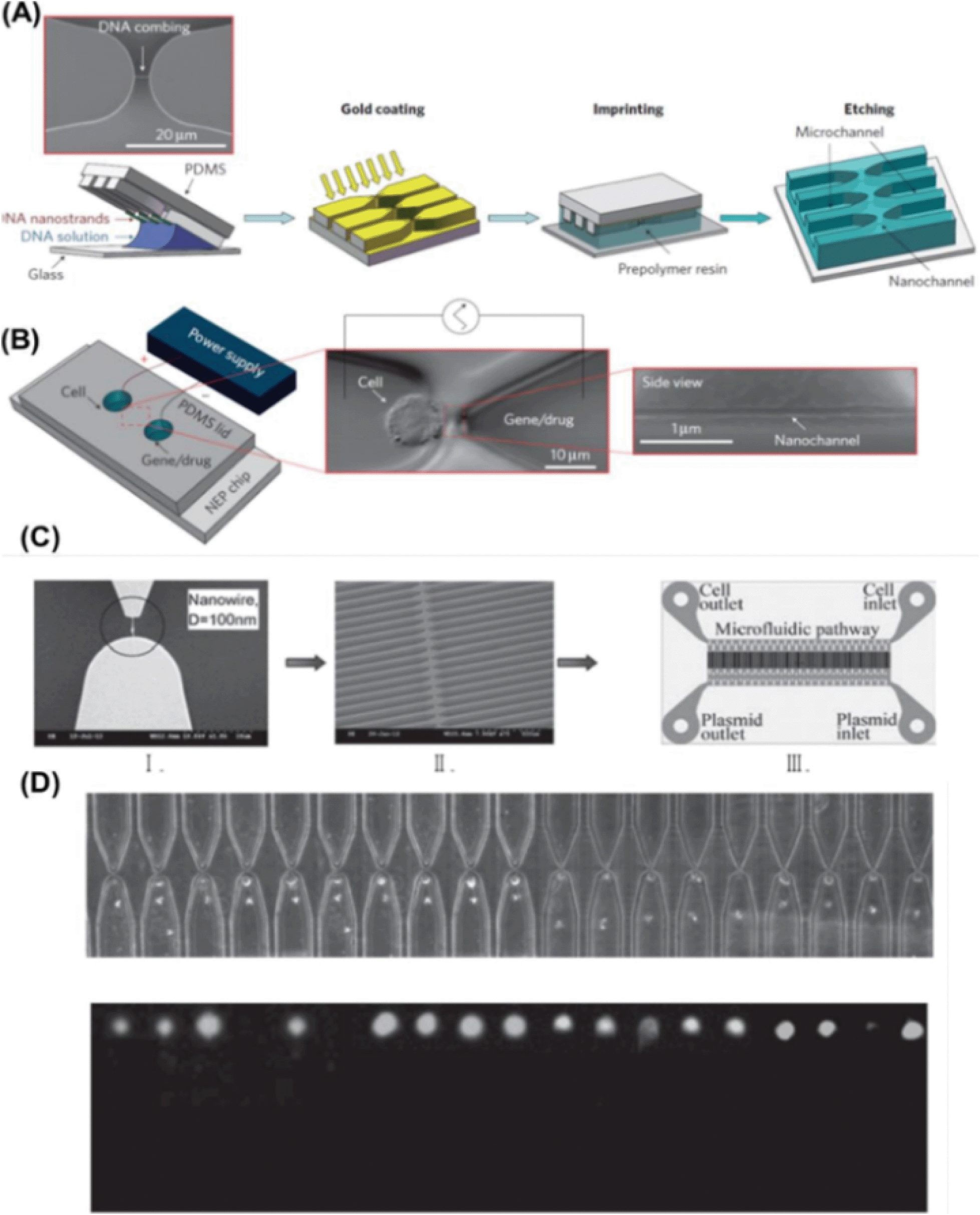 Gid Nep Xxx Video - Micro-/nanoscale electroporation - Lab on a Chip (RSC Publishing)