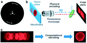 Review: imaging technologies for flow cytometry - Lab on a Chip (RSC ...
