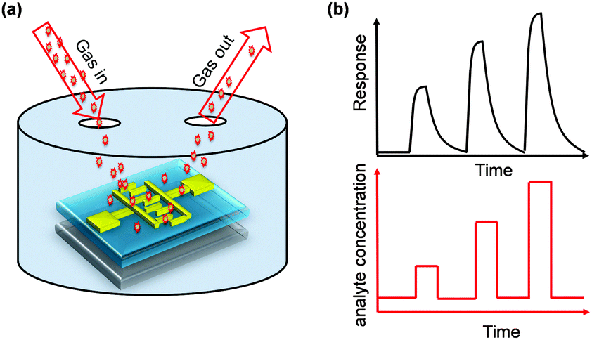 Electrical gas sensors based on Volatile organic compound gas sensors