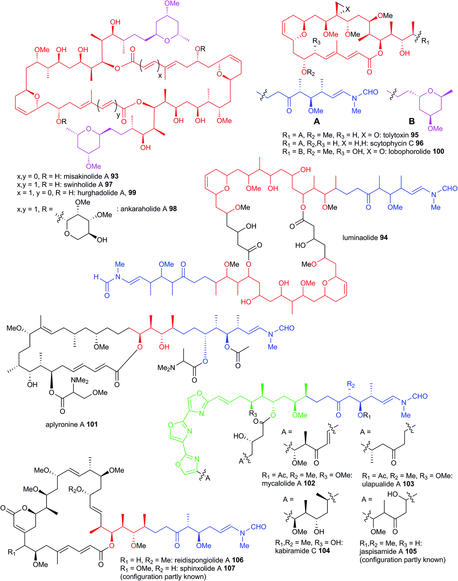 Biosynthesis Of Polyketides By Trans At Polyketide Synthases - 