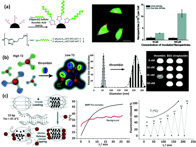 Nanoparticles and DNA – a powerful and growing functional combination ...