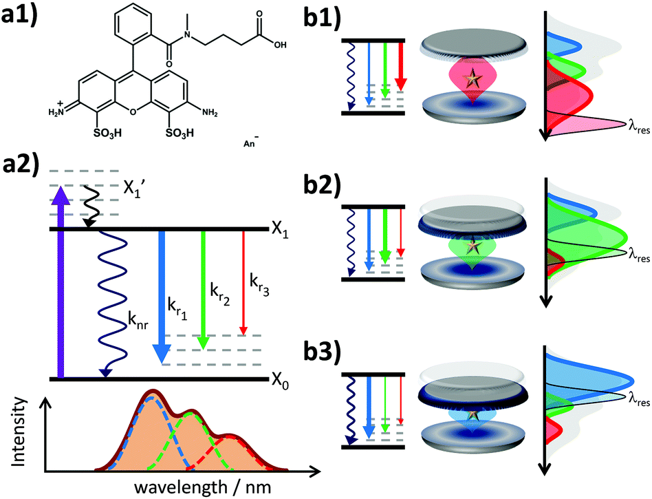 Revealing the radiative and nonradiative relaxation rates of the
