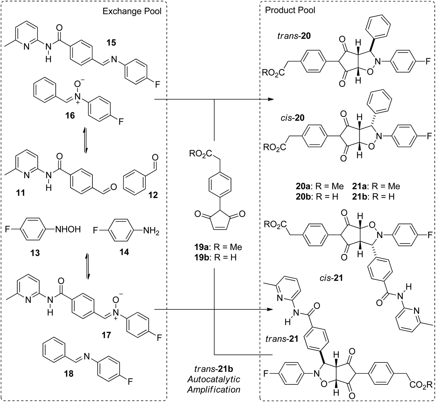 This diagram represents one of the building blocks of dna.