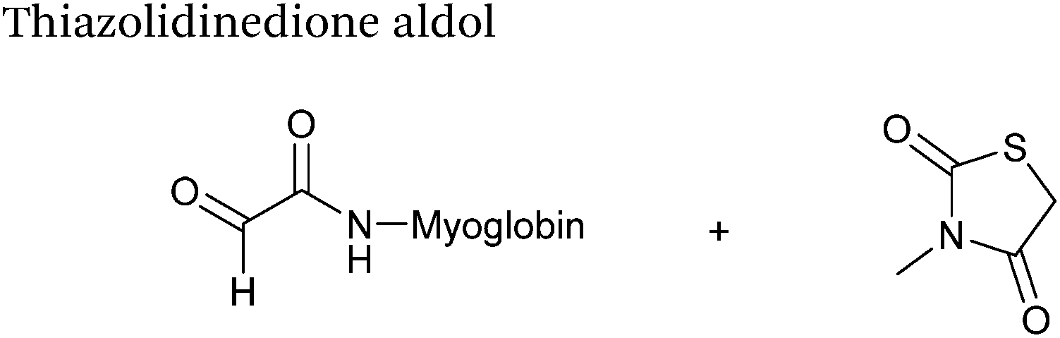 Site-selective incorporation and ligation of protein aldehydes ...