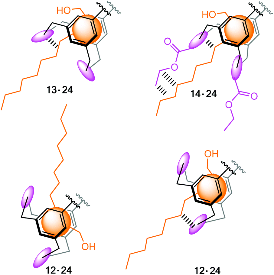Carbohydrate receptors combining both a macrocyclic building block and flexible side arms as