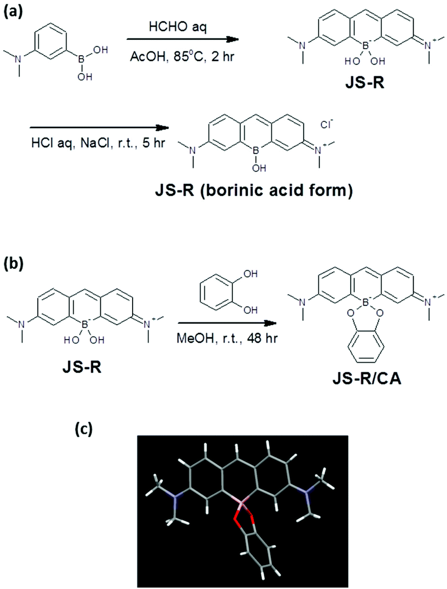 A Red Fluorophore Comprising A Borinate Containing Xanthene Analogue As A Polyol Sensor Organic Biomolecular Chemistry Rsc Publishing