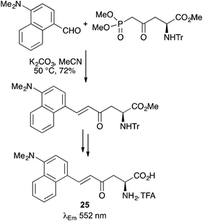 Recent advances in the synthesis and application of fluorescent α-amino ...