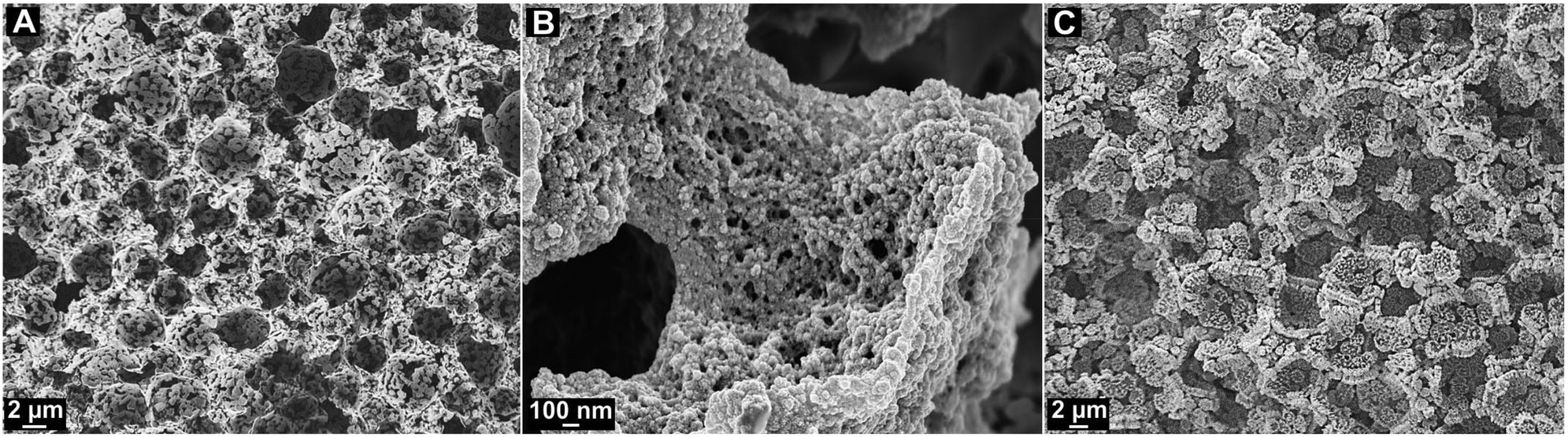 Synthesis of hydrogel polyHIPEs from functionalized glycidyl