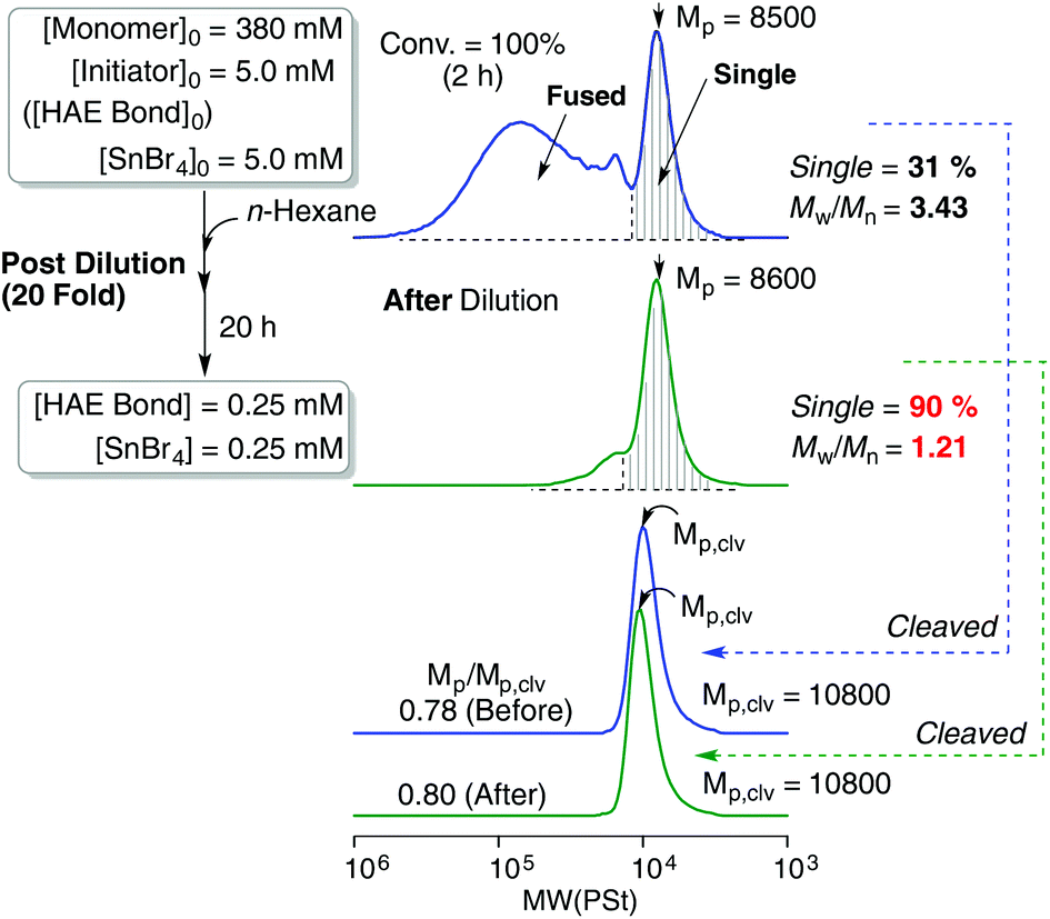 A Convergent Approach To Ring Polymers With Narrow Molecular Weight Distributions Through Post Dilution In Ring Expansion Cationic Polymerization Polymer Chemistry Rsc Publishing