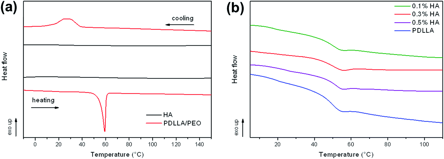 Hyaluronic Acid-coated Poly( D , L -lactide) (PDLLA) Nanofibers ...