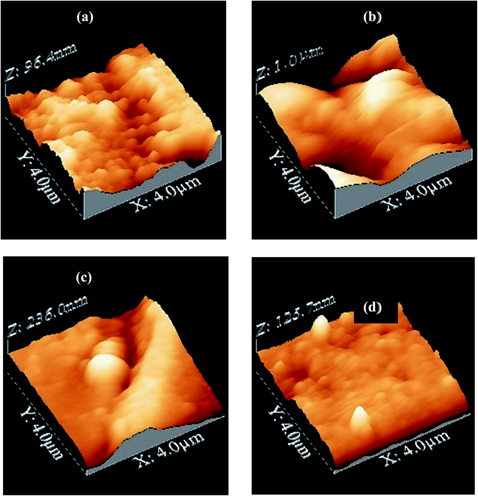 Investigation Of Anti Corrosive Properties Of O Anisidine N Salicylidene And Its Nanocomposite O Anisidine N Salicylidene Nionps On Mild Steel In 2 N Hcl Rsc Advances Rsc Publishing