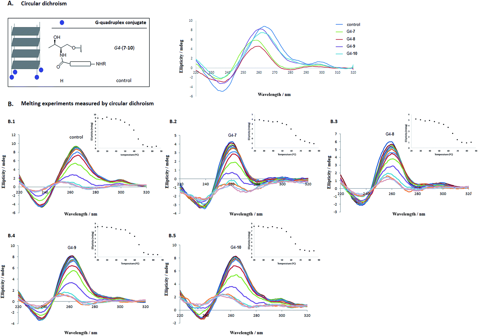 Cellular uptake studies of antisense oligonucleotides using G ...