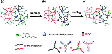 A seawater triggered dynamic coordinate bond and its application for ...