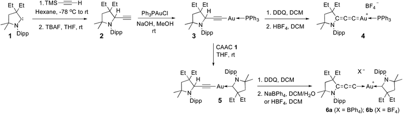 Isolation of cationic and neutral (allenylidene)(carbene) and bis ...