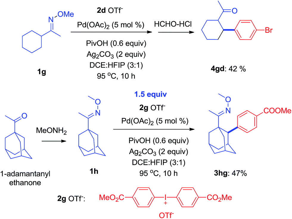 B Arylation Of Oxime Ethers Using Diaryliodonium Salts Through Activation Of Inert C Sp3 H Bonds Using A Palladium Catalyst Chemical Science Rsc Publishing