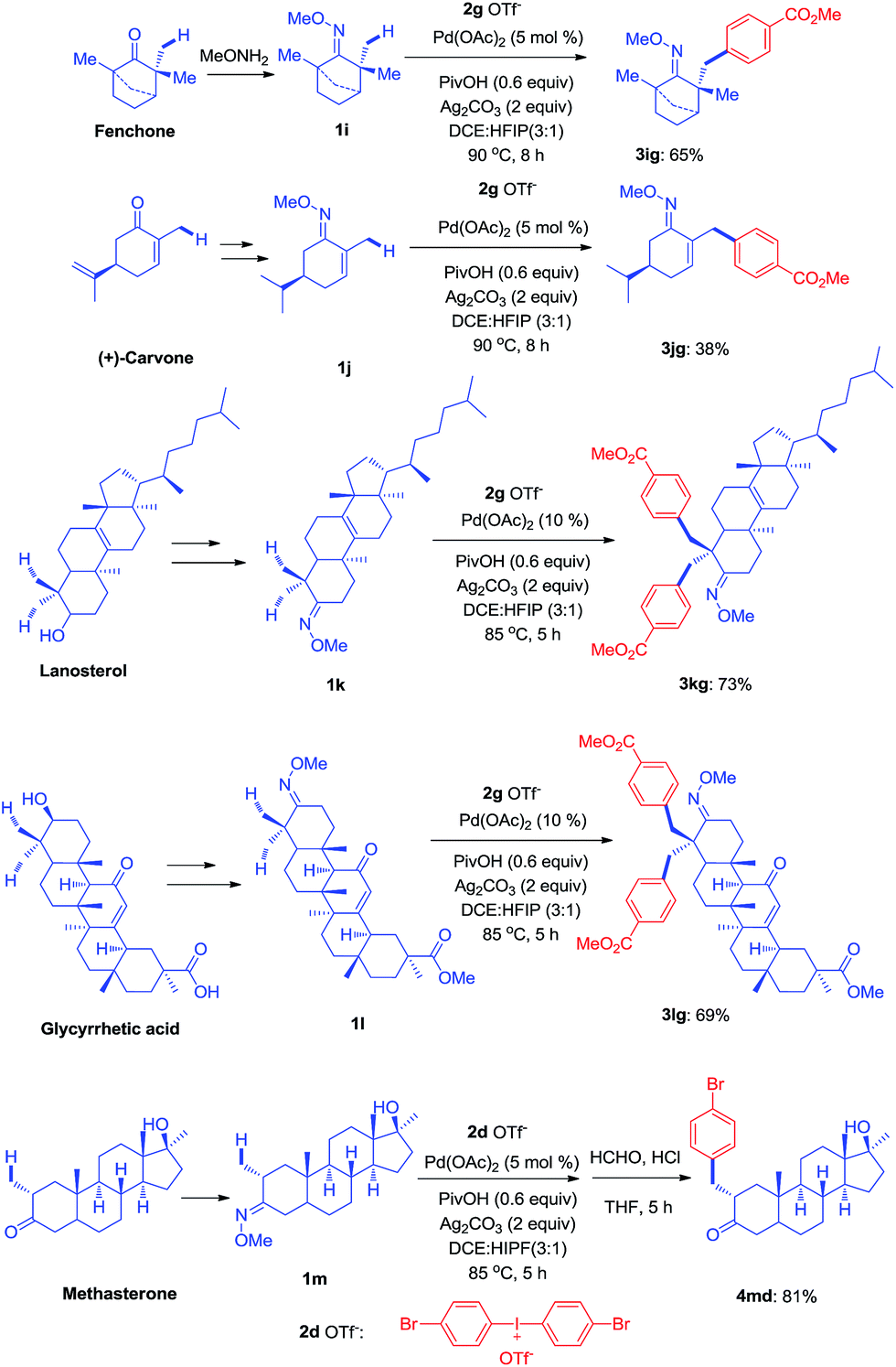 B Arylation Of Oxime Ethers Using Diaryliodonium Salts Through Activation Of Inert C Sp3 H Bonds Using A Palladium Catalyst Chemical Science Rsc Publishing