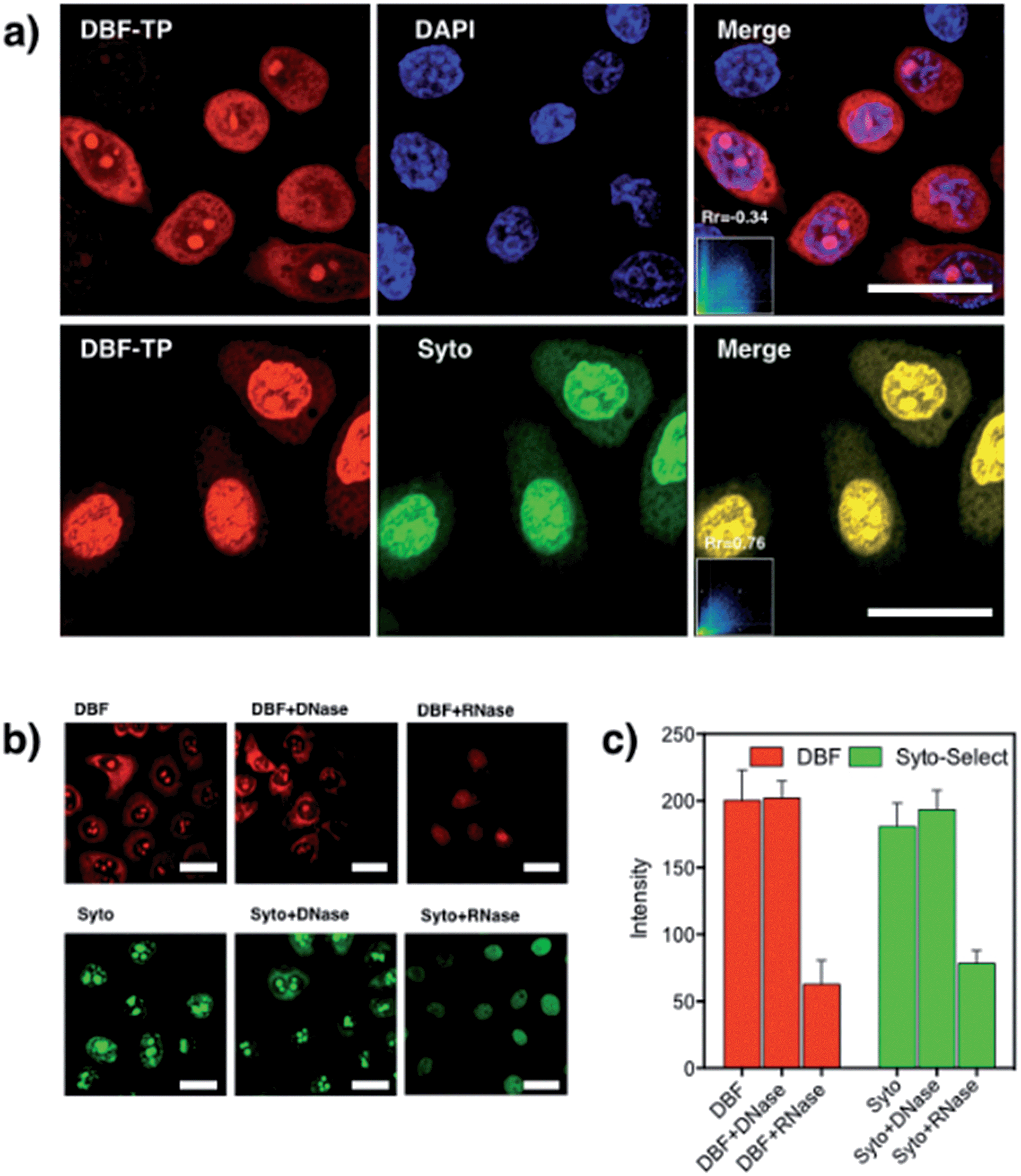 Nucleic Acid-selective Light-up Fluorescent Biosensors For Ratiometric ...