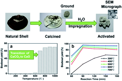 Catalytic Applications Of Waste Derived Materials - Journal Of ...