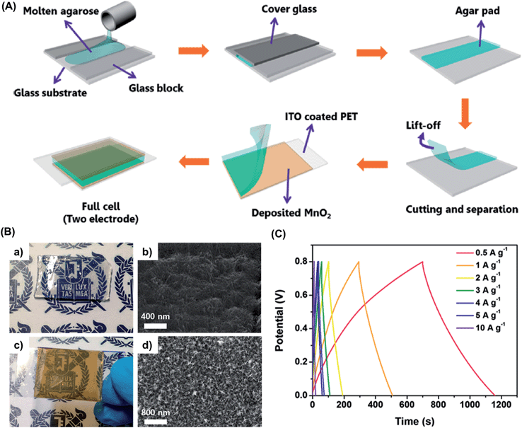 Current status and challenges of biohydrogels for applications as ...