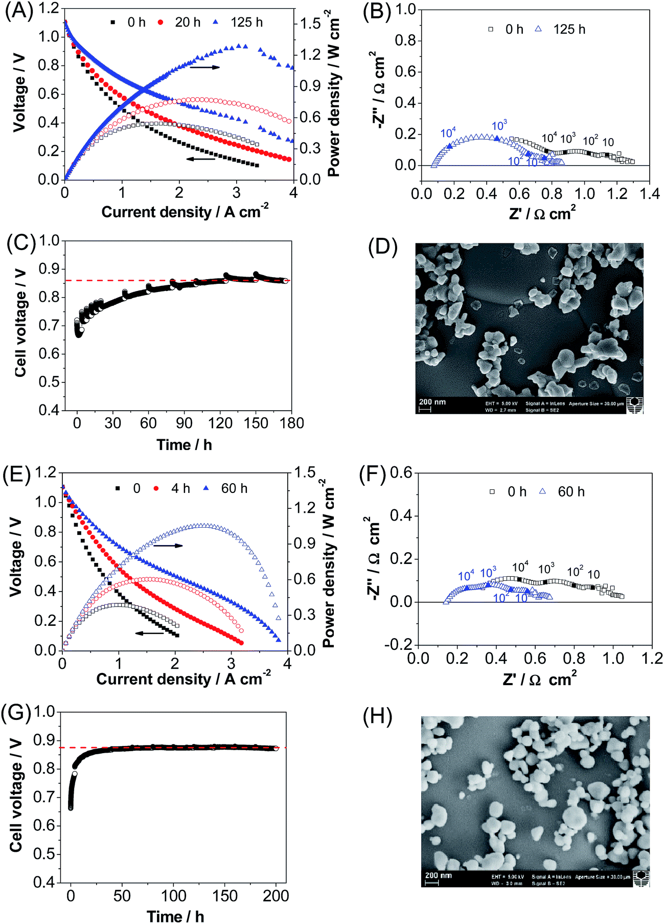 Direct application of cobaltite-based perovskite cathodes on the yttria ...