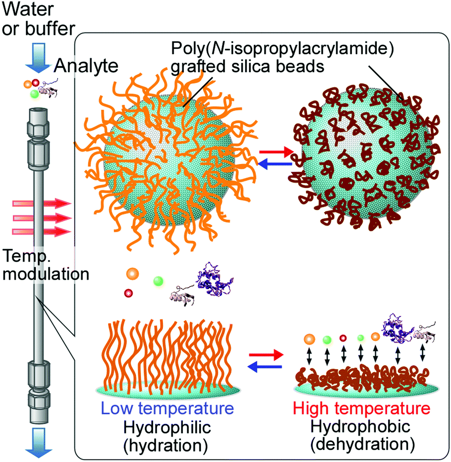 Thermoresponsivepolymerbased materials for temperaturemodulated