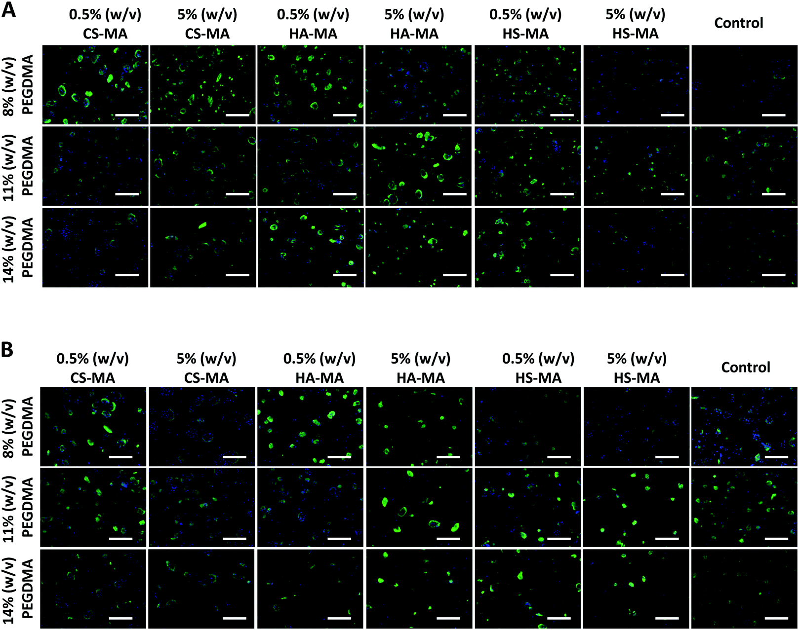 Modulating Stem Cell Chondrocyte Interactions For Cartilage Repair Using Combinatorial Extracellular Matrix Containing Hydrogels Journal Of Materials Chemistry B Rsc Publishing