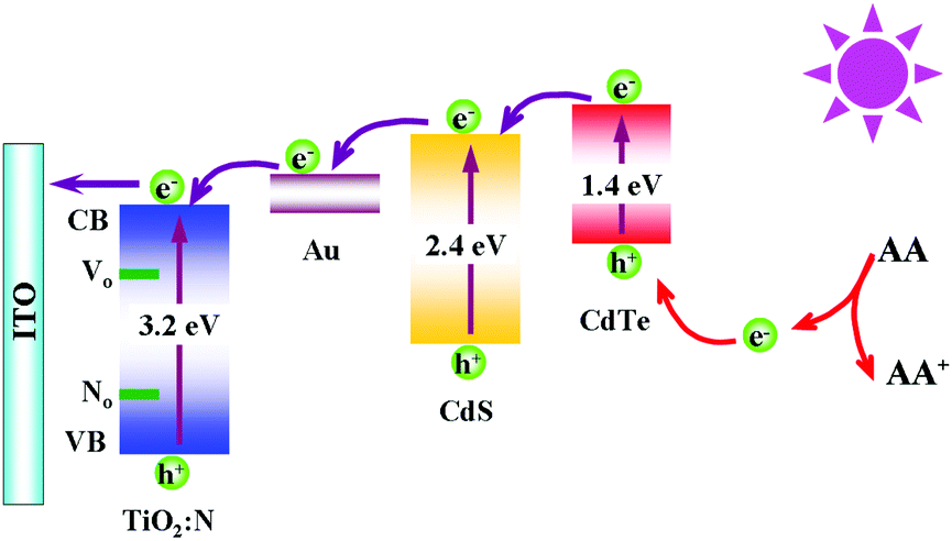 Enhanced Photoelectrochemical Aptasensing Platform Amplified Through The Sensitization Effect Of Cdte Cds Core Shell Quantum Dots Coupled With Exonuclease I Assisted Target Recycling Journal Of Materials Chemistry B Rsc Publishing