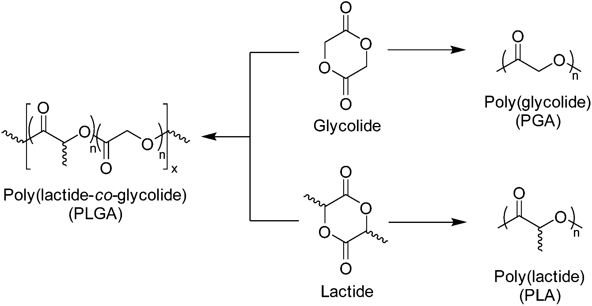 80 синтез. PLGA полимеры. Поли-l-лактид. Poly(DL-lactide-co-glycolide. Glycolide hydrolysis.
