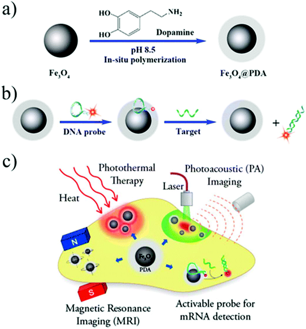 Recent progress in the biomedical applications of polydopamine 