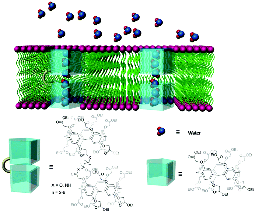 Biological and related applications of pillar[ n ]arenes - Chemical  Communications (RSC Publishing) DOI:10.1039/C6CC08967D