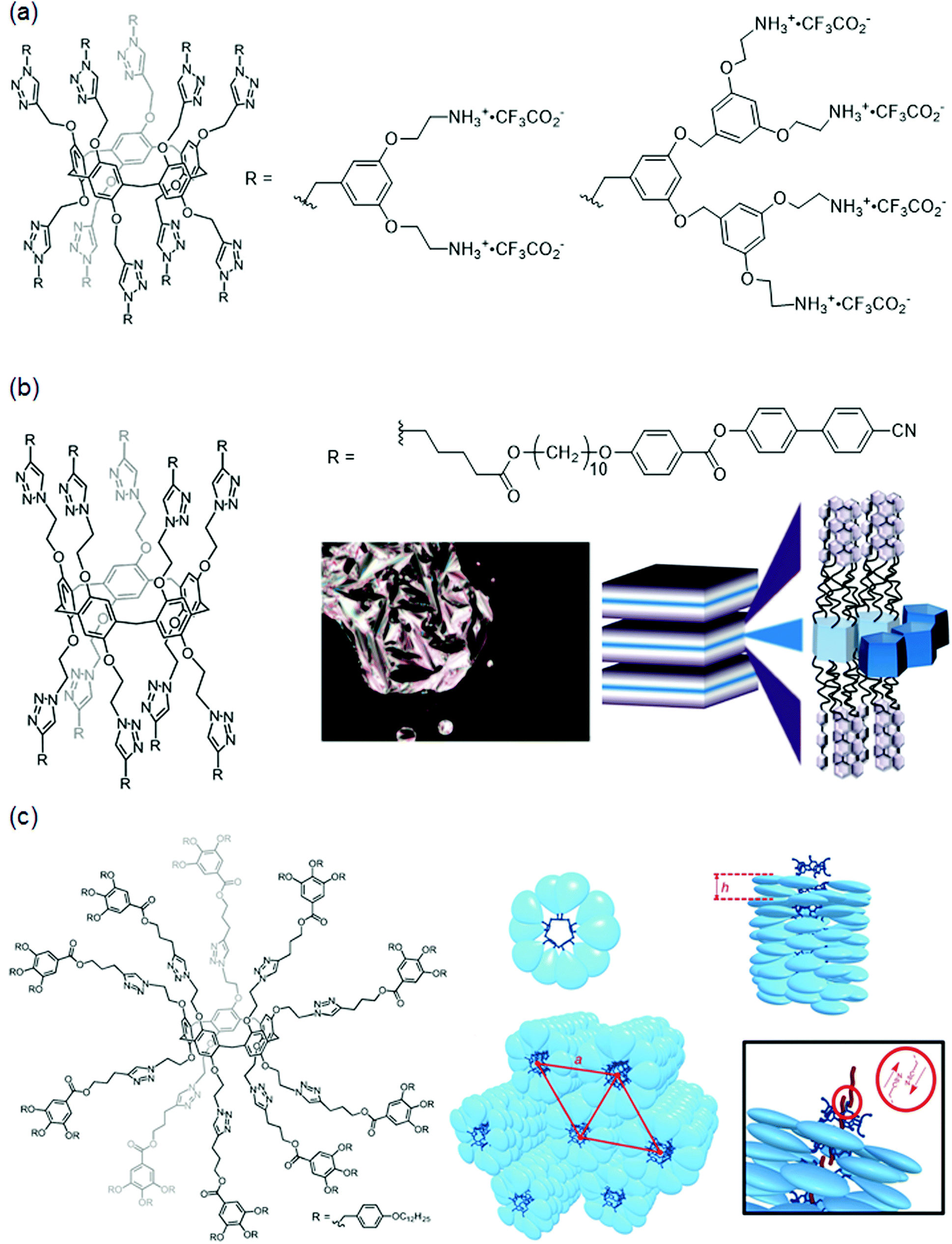 Supramolecular chemistry of pillar[ n ]arenes functionalised